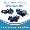 MÁY BƠM HỒ BƠI EWALA STP100 1HP 220V  - Hình ảnh 4