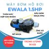 MÁY BƠM HỒ BƠI EWALA STP150 1.5HP 220V - Hình ảnh 3