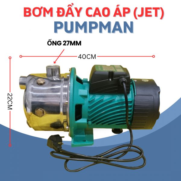 Máy Bơm Đầu Jet Inox Taifu Pumpman SGJ800 (800W) - Hình ảnh 3