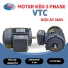 Moter VTC 3 pha tua 1450V công suất 5HP - Hình ảnh 2